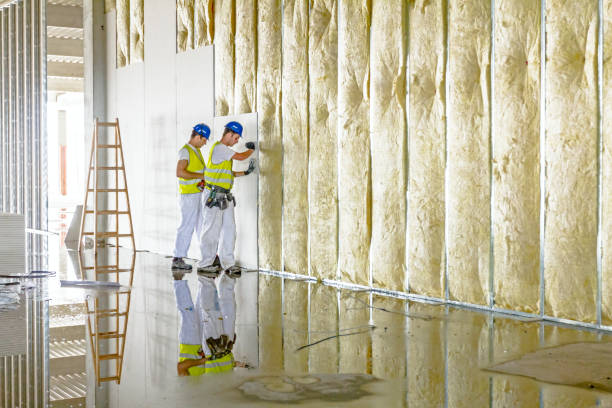 Best Insulation for New Construction  in Thompsonville, PA